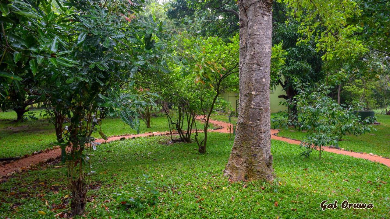 Gal Oruwa Resort Dambulla Exterior photo