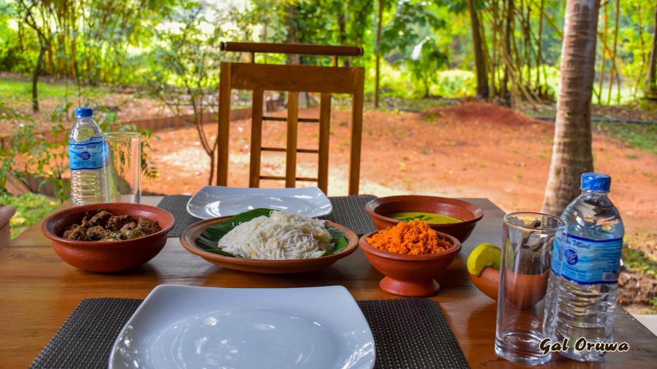 Gal Oruwa Resort Dambulla Exterior photo