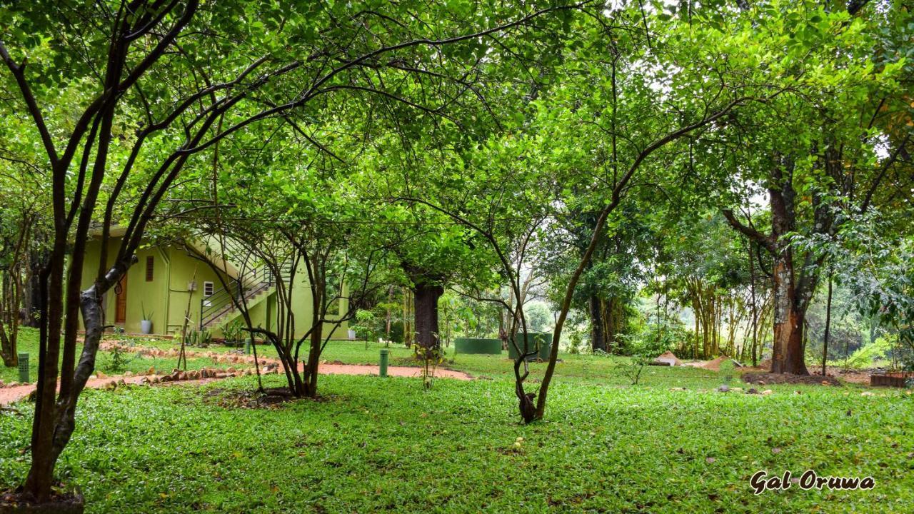 Gal Oruwa Resort Dambulla Exterior photo