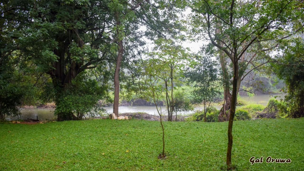 Gal Oruwa Resort Dambulla Exterior photo